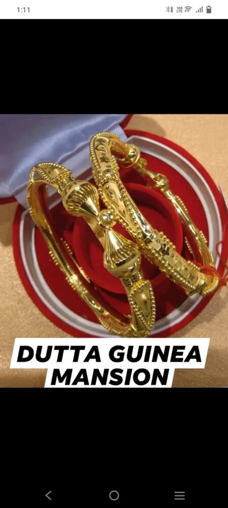 Dutta Guinea Mansion(2)